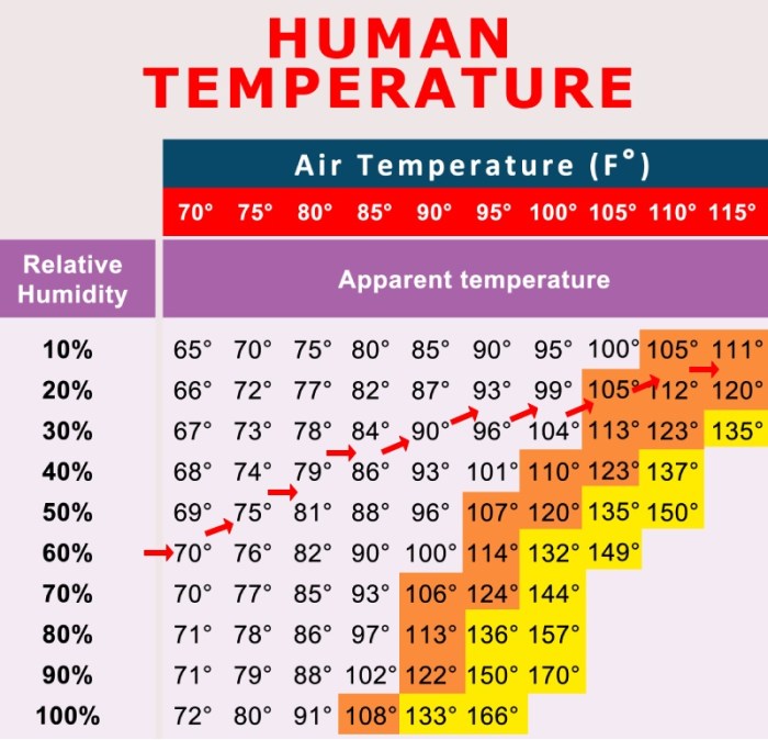 Humidity winter level house chart relative canada proper pane if form double window