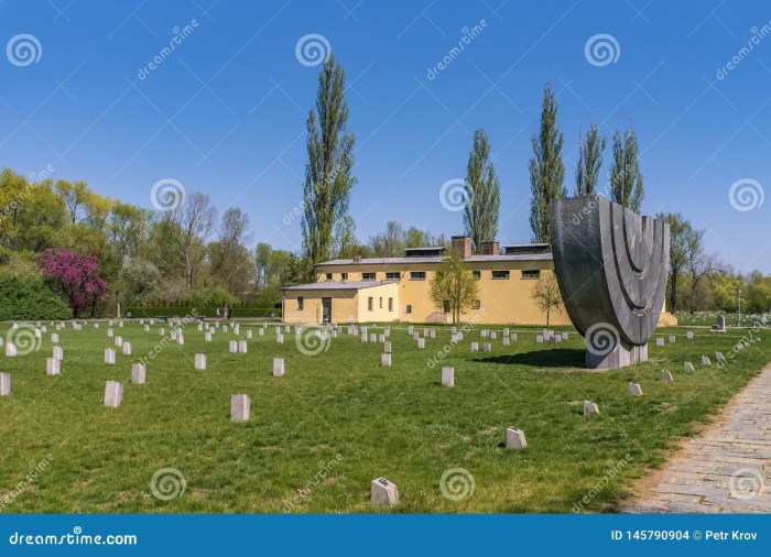 Amelies wohnzimmer sachsenhausen